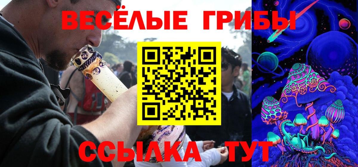 Снежинск  Галлюциногенные грибы мицелий  Вход с VPN 